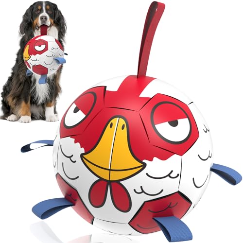 QDAN large dog soccer ball with straps
